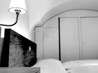 Arthotel Blaue Gans Salzburg Hotel